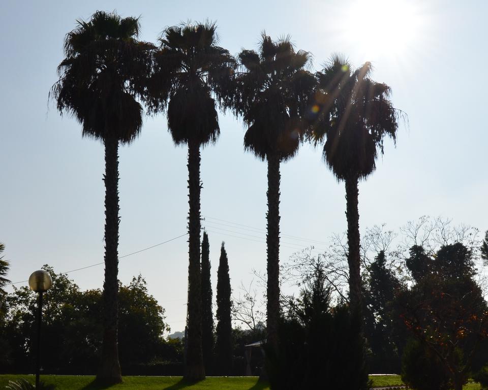 Villa Montanari Rosati Porto San Giorgio Bagian luar foto